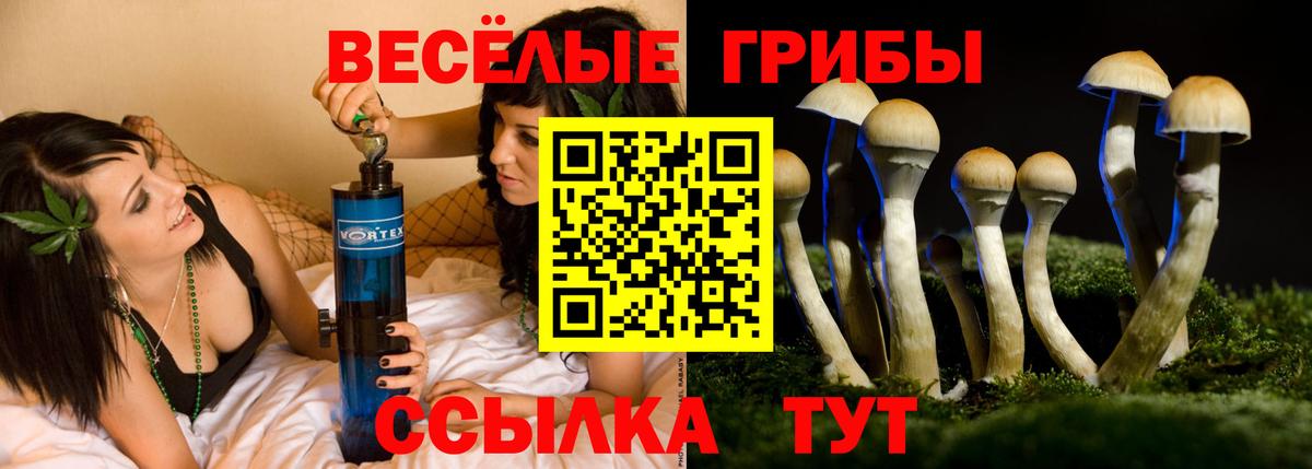 Галлюциногенные грибы ЛСД Анапа