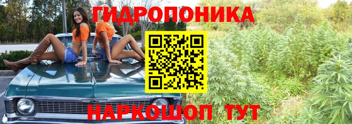 Канабис ГИДРОПОН  Шишки марихуана THC 21%  Вход с VPN  Анапа  Каннабис VHQ 